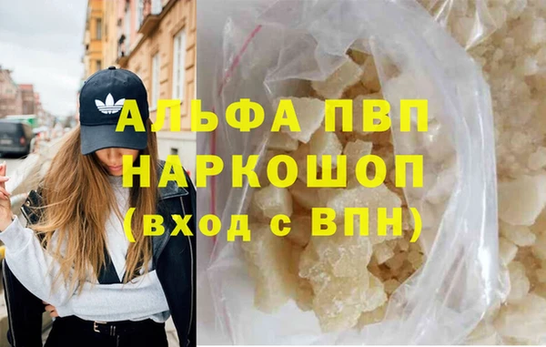 индика Верея