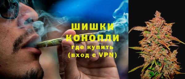 индика Верея