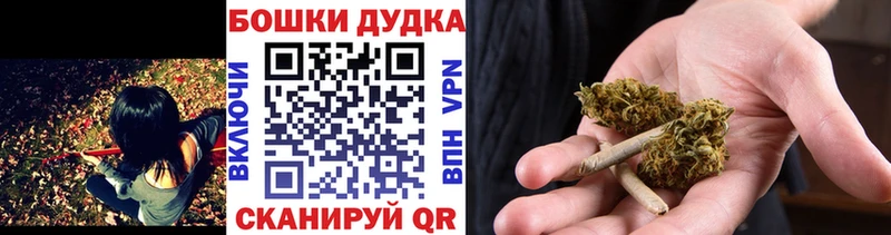 Шишки марихуана семена  Злынка 